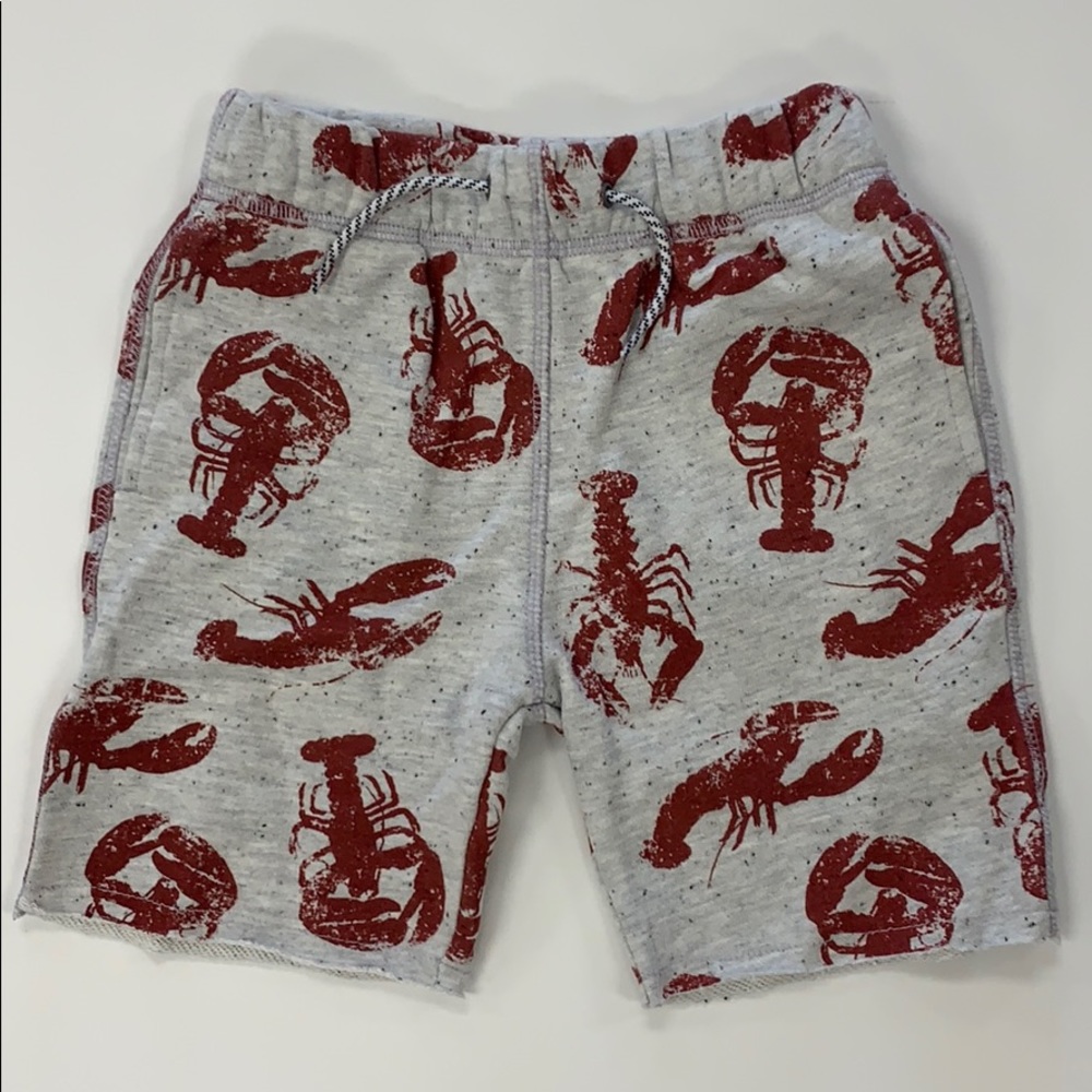 Appaman shorts size 5 NWT